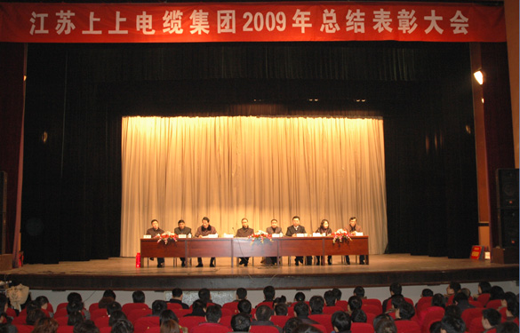 尊龙凯时盛大召开2009年度总结表扬大会